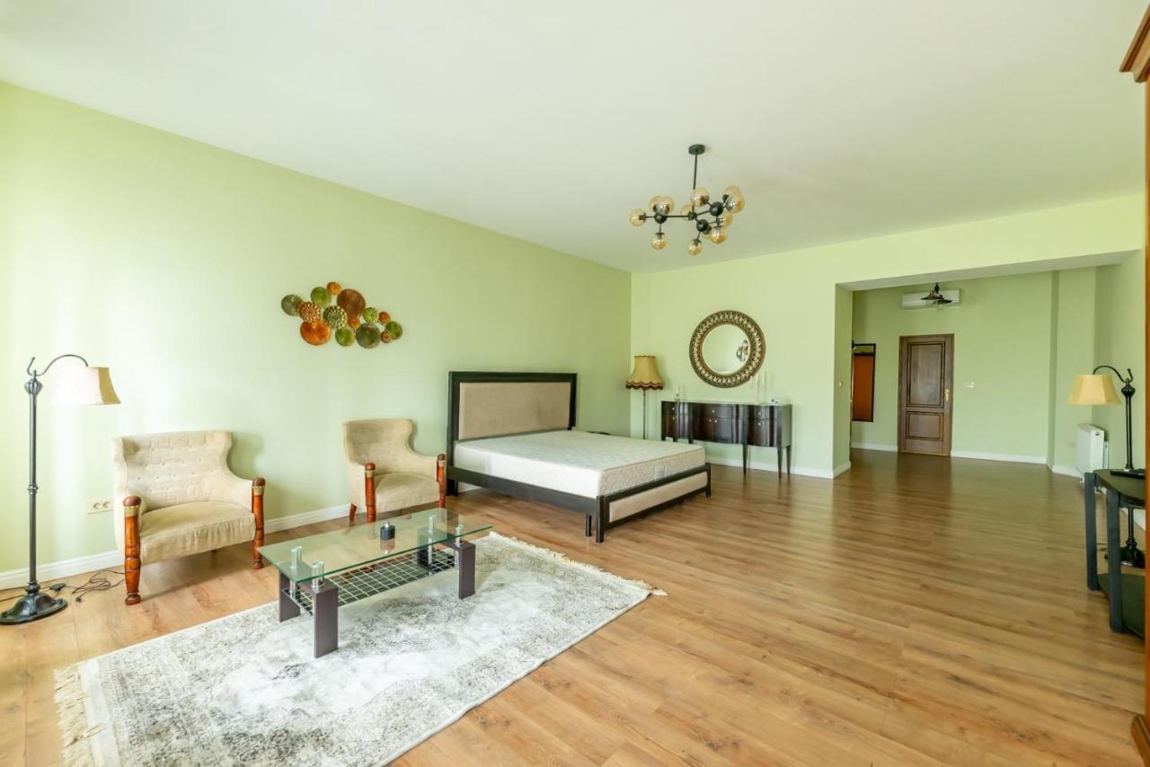 Cozyflat In The Central Arad Buitenkant foto