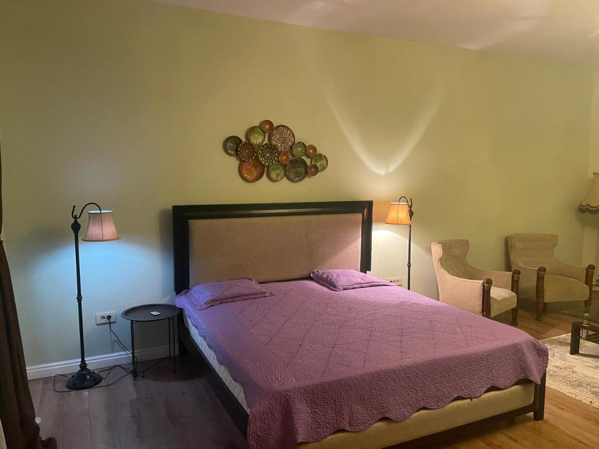 Cozyflat In The Central Arad Buitenkant foto
