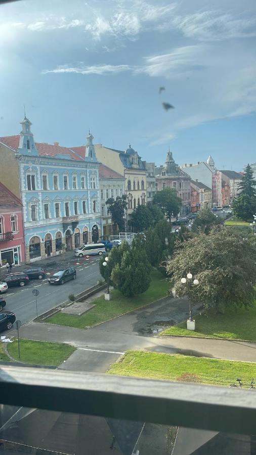 Cozyflat In The Central Arad Buitenkant foto